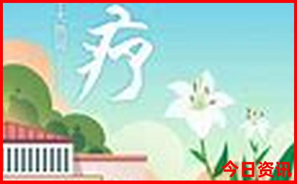 鸡的生肖号码是多少