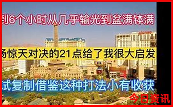 鸡的生肖号码是多少